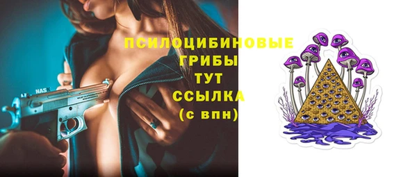 молекула духа Богородск