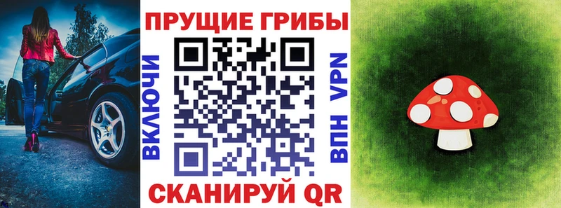 Псилоцибиновые грибы Psilocybe  Петухово 
